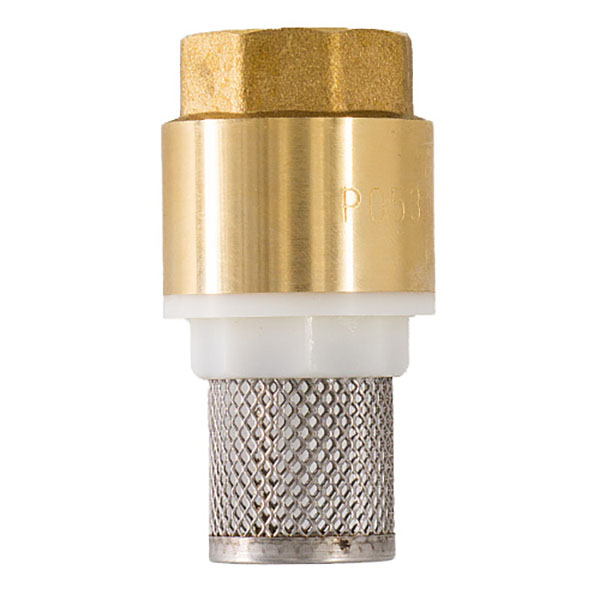 Клапан обратный с сеткой Skat stm, 1"