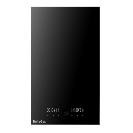 Газовый котёл BellaGas Vip 24, с трубой